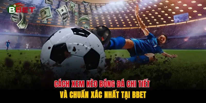 Cách Xem Kèo Bóng Đá Chi Tiết Và Chuẩn Xác Nhất Tại BBET