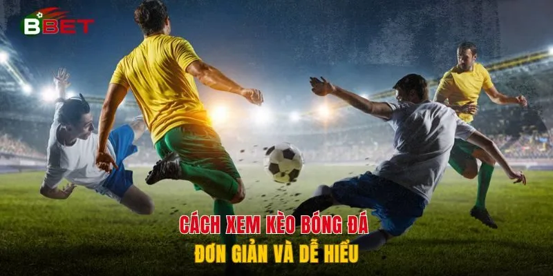 Cách xem kèo bóng đá đơn giản và dễ hiểu