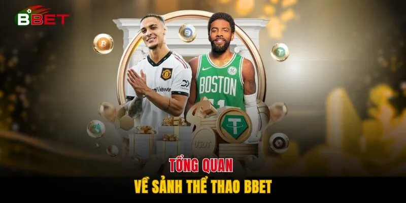 Tổng quan về sảnh thể thao BBET